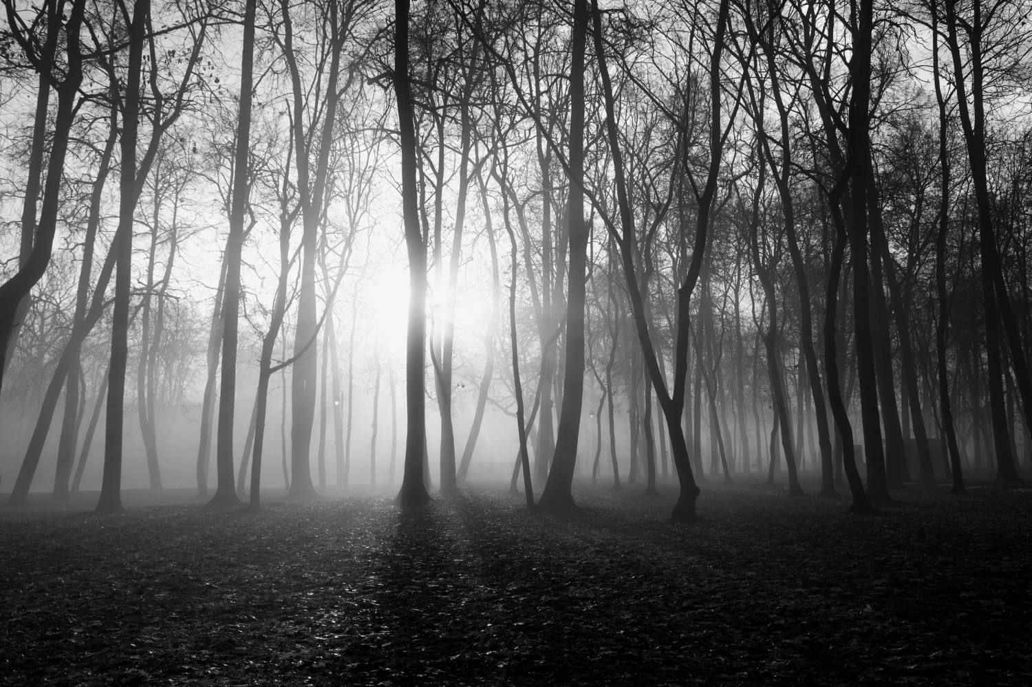 , Колосова Елена