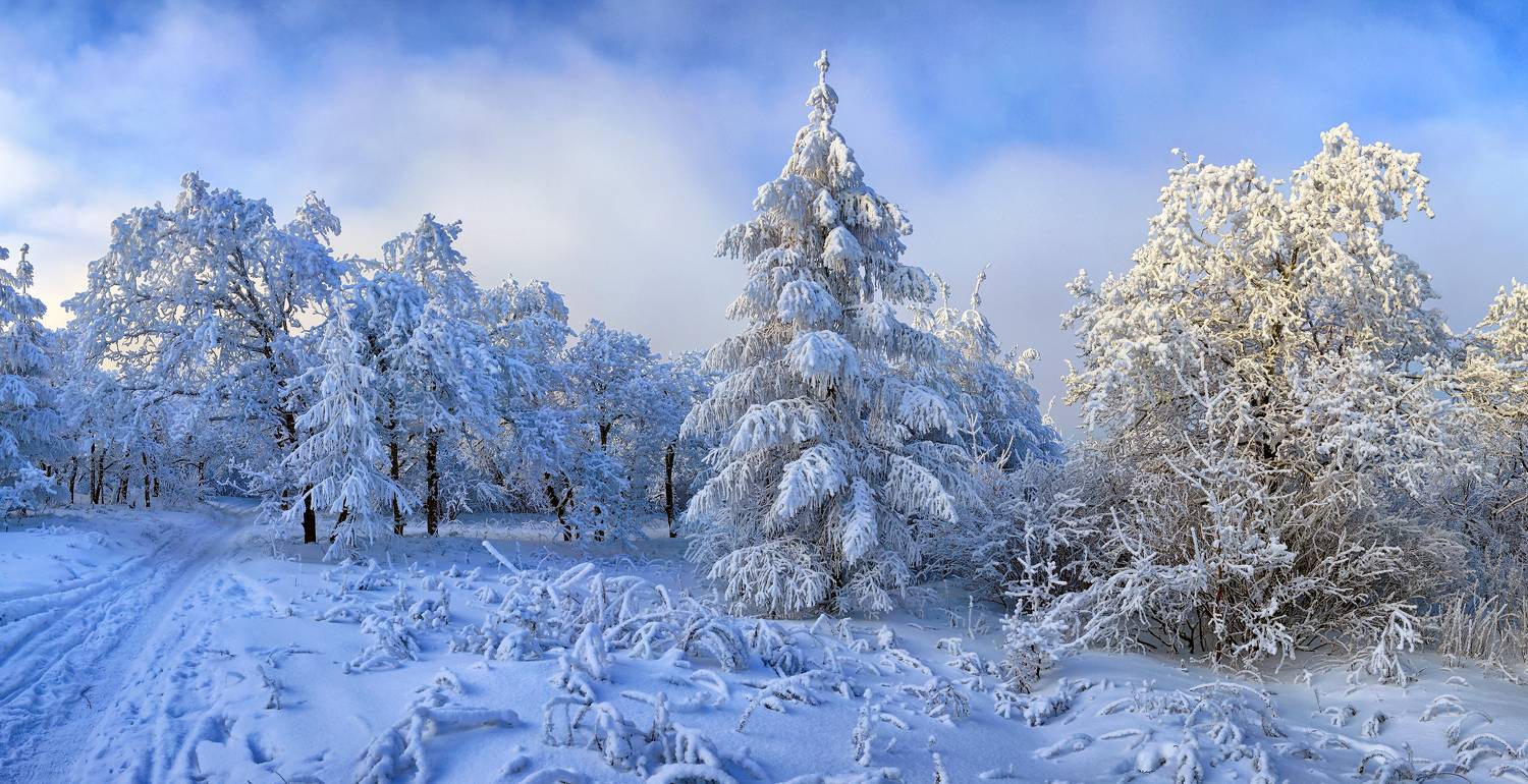 , Подосинников Максим