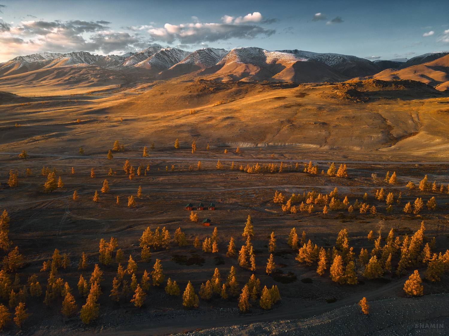 , Константин Шамин