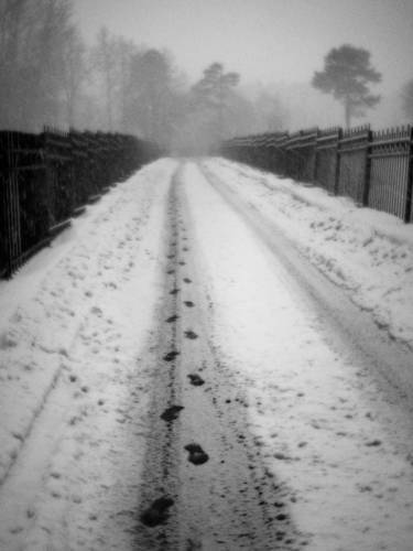 Дорога домой.