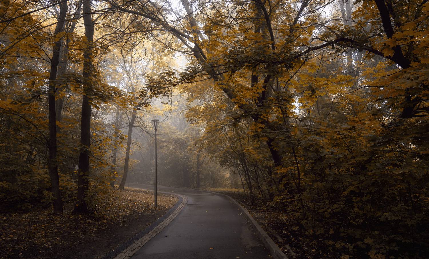 осень парк, Колесов Андрей