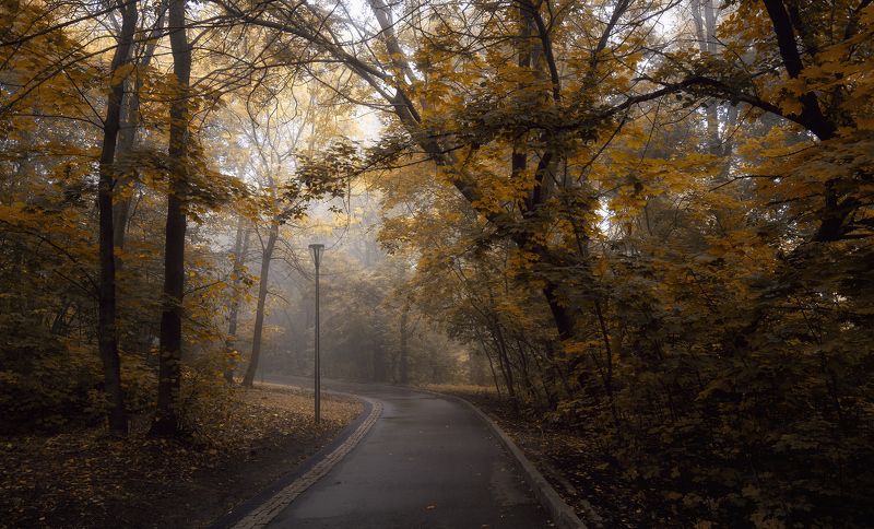 осень парк Осень в парке фото превью