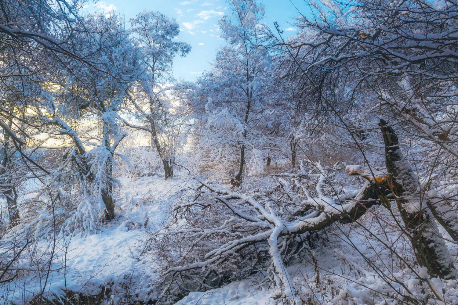 , Лысенко Сергей