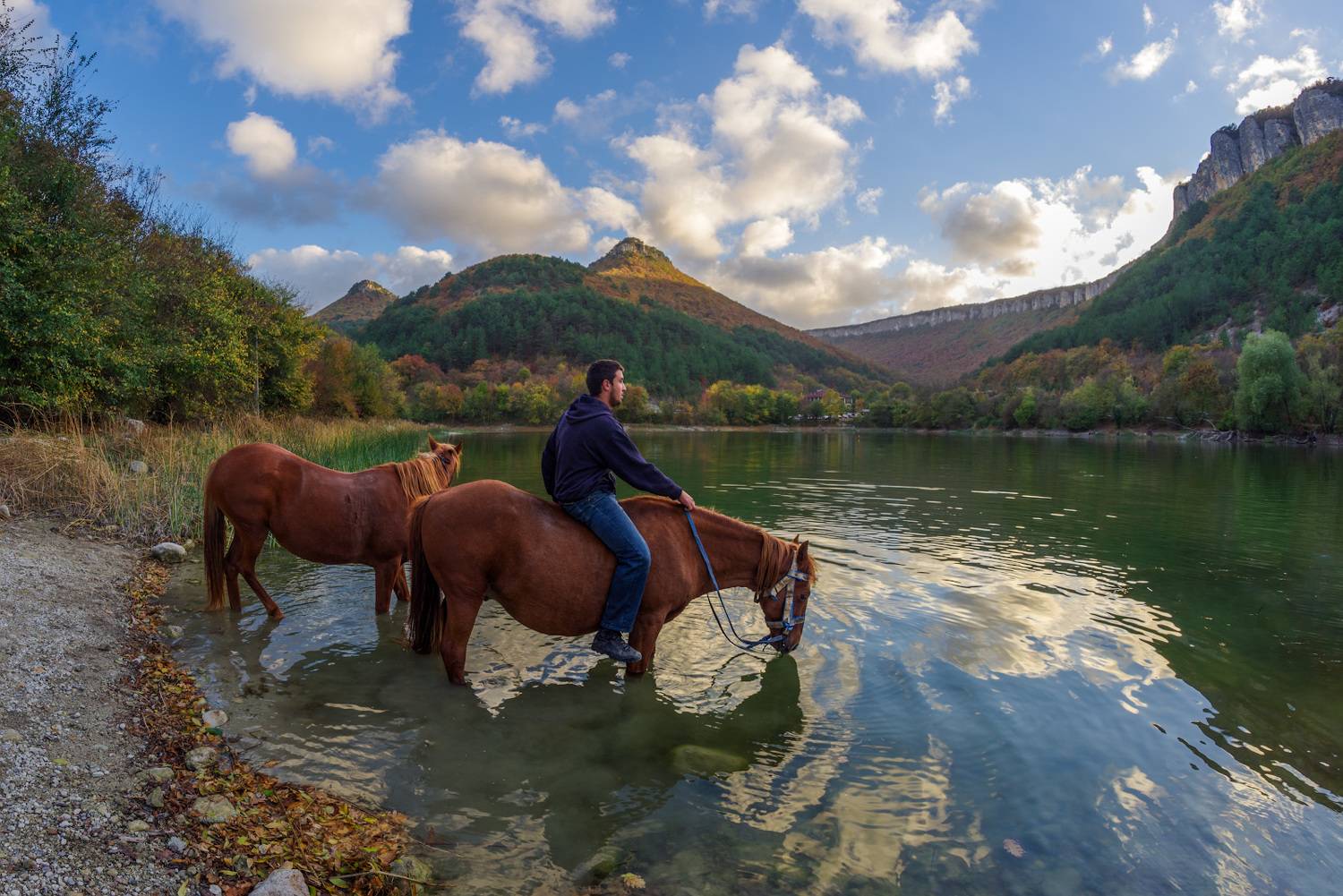 лошадь, мангуп, лошади, крым, водопой, озеро, жанр, самьянг, пентакс, samyang, pentax, fisheye, Котенко Вадим