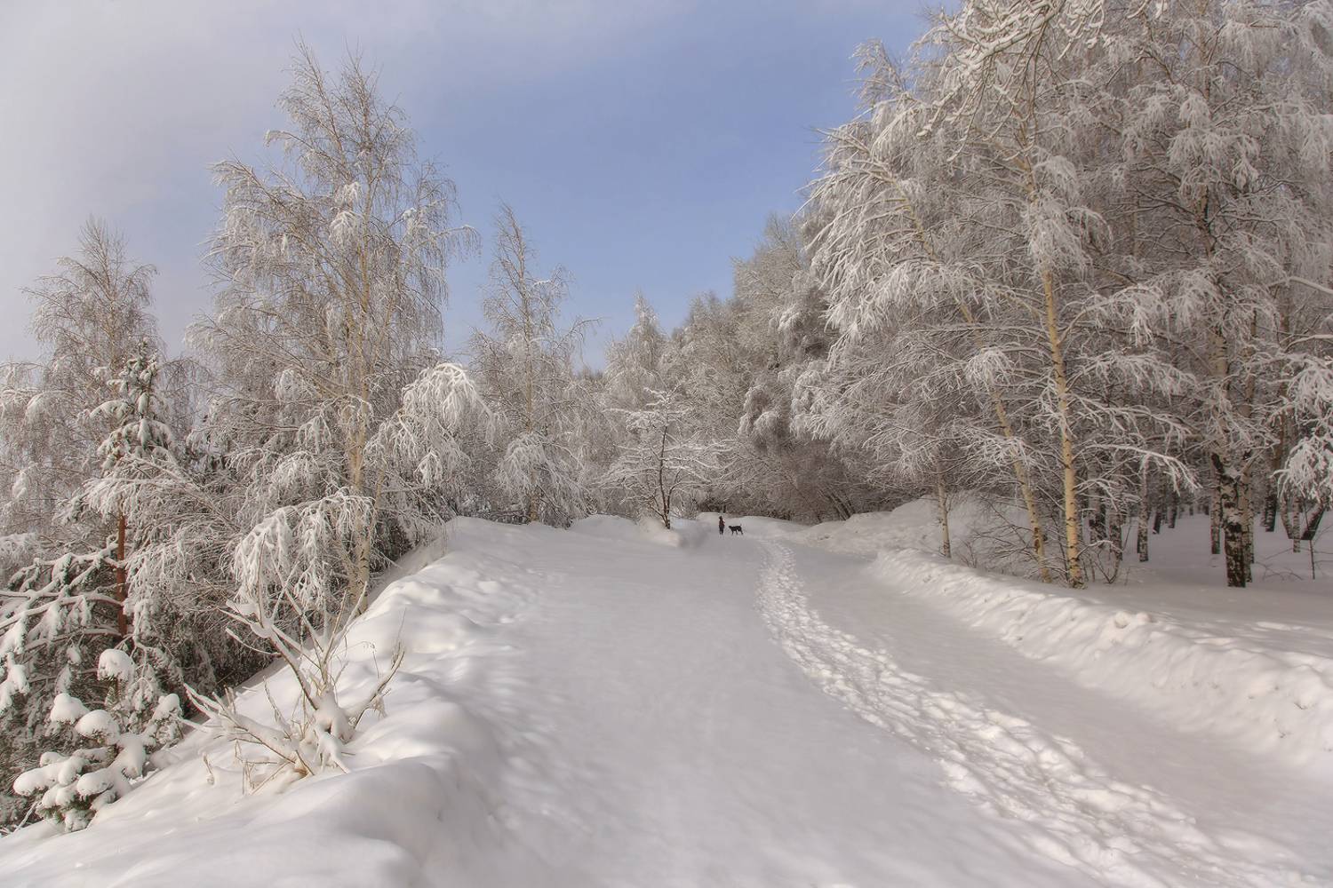 , Алексей Хахлов