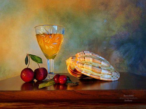 Натюрморт с раковиной