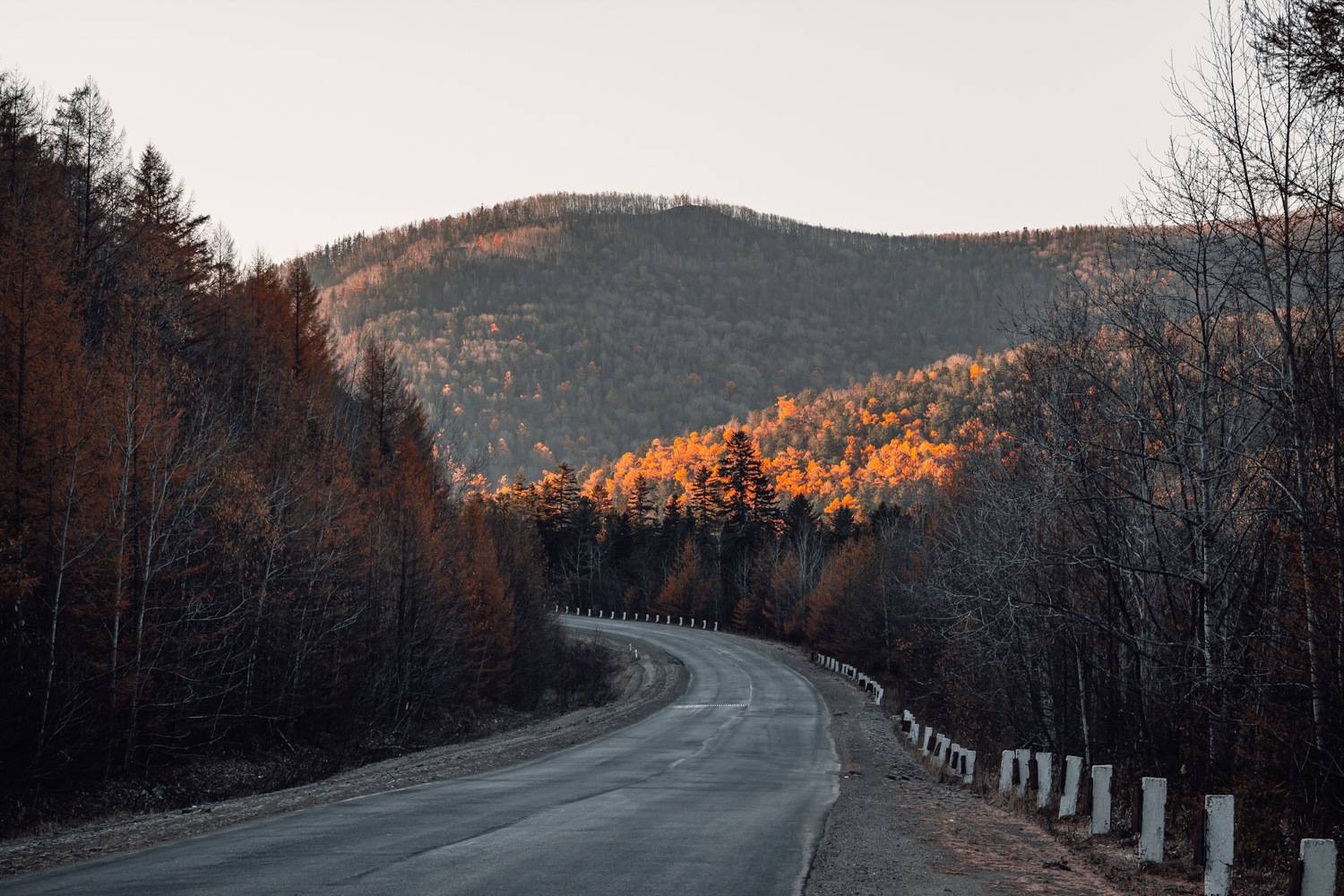 , Дмитрий Рудаков