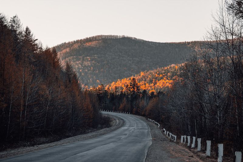 +++ фото превью