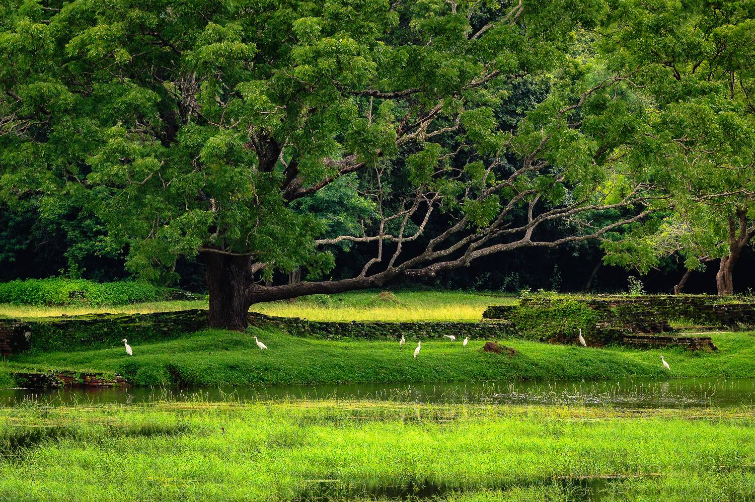 , Васильев Андрей
