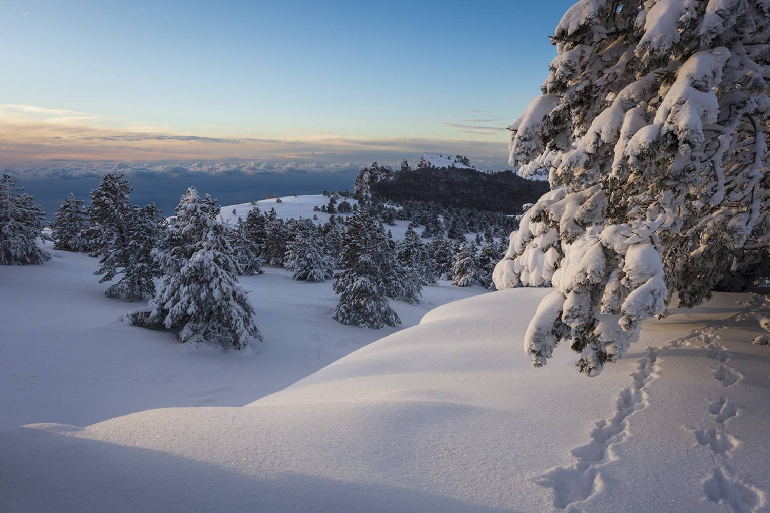 крым, зима, ай-петри, горы, снег, пейзаж,, Сергей Шульга