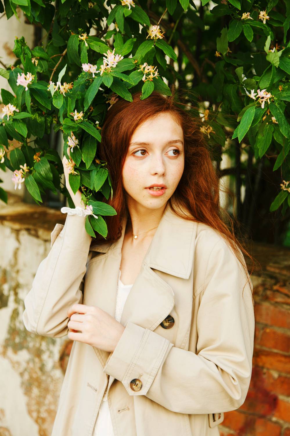 , Marie Dashkova