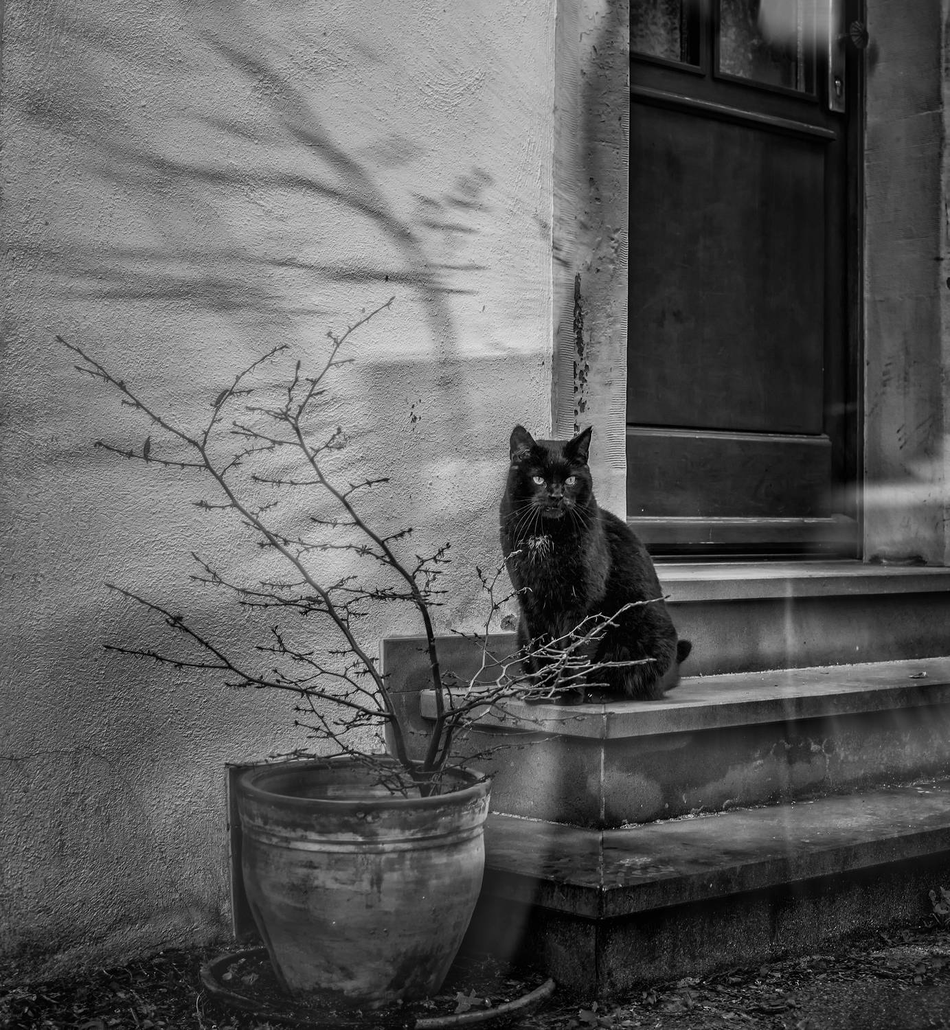 , Сигидова Ирина