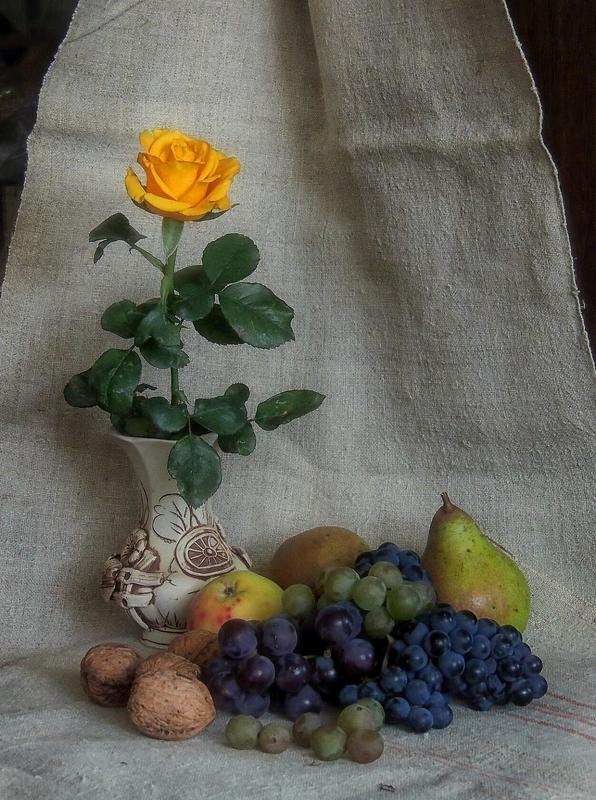 Желтая роза фото превью