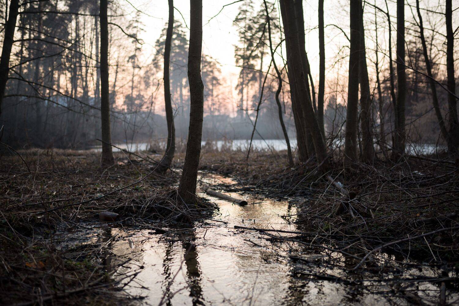 , Ширяев Константин