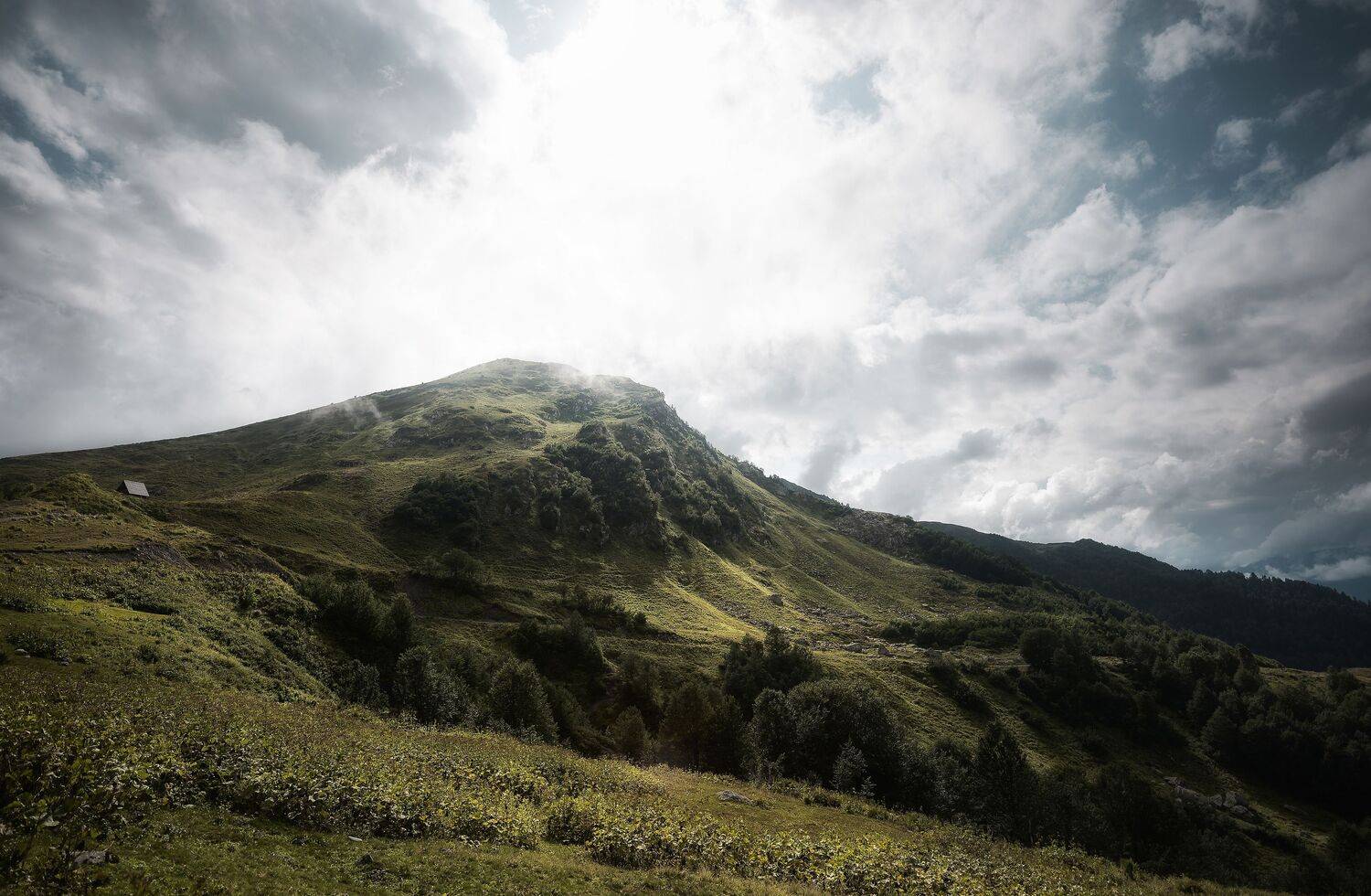 , Ширяев Константин