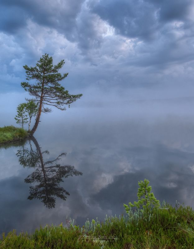 *** фото превью