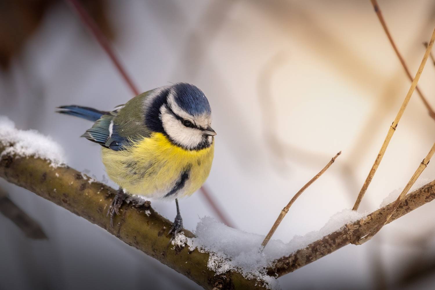 , Вячеслав Мельников