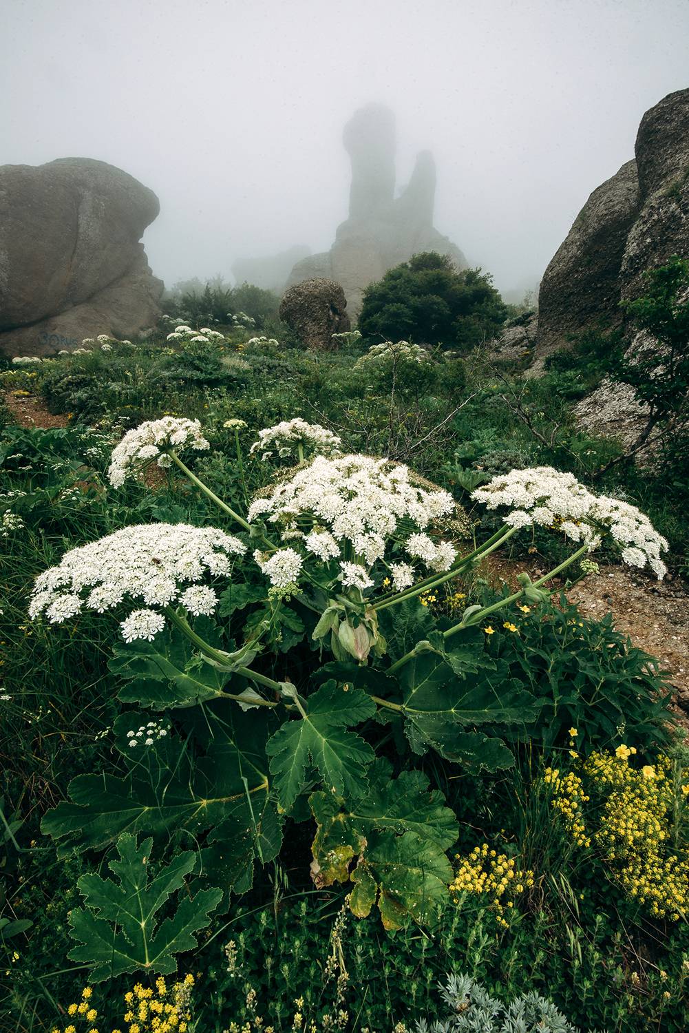 крым, Юрий Коваленко
