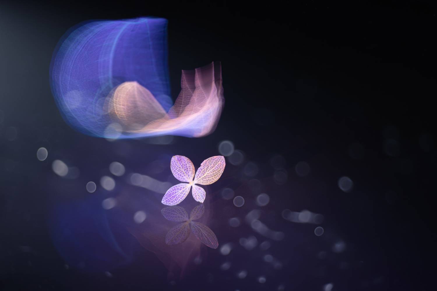 close-up, Игорь Копцев