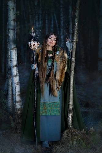 Кельтская волчица