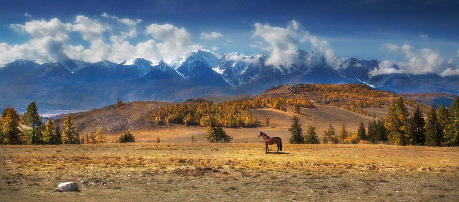 , Художников-Сухоребриков Павел