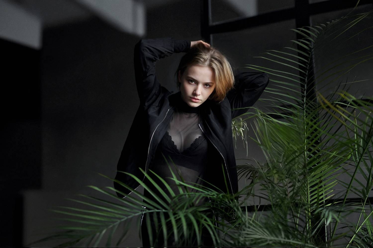 , Лыткин Денис