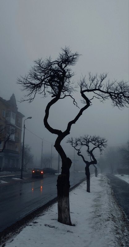 Иероглифы фото превью