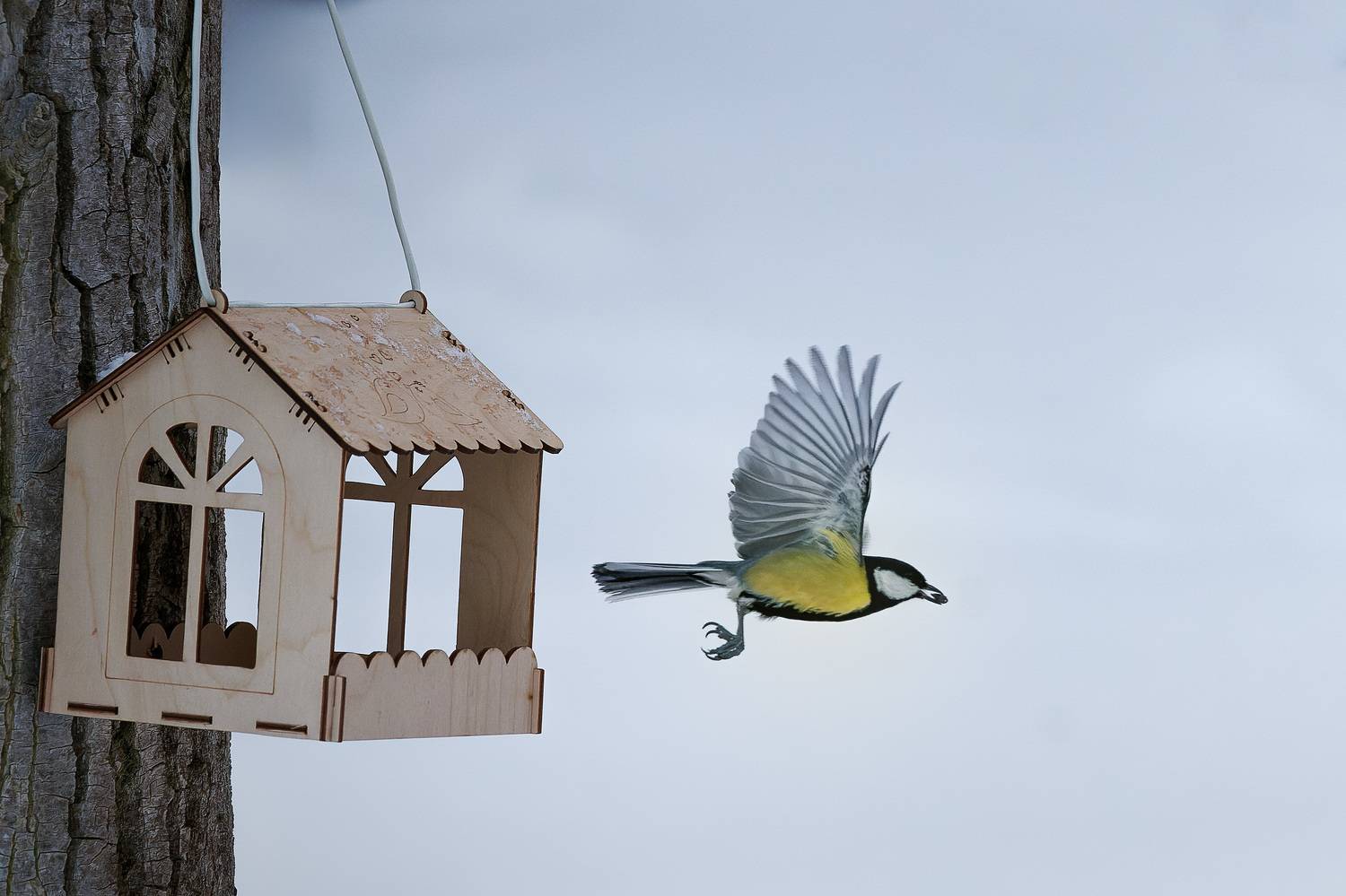 , Загруев Михаил