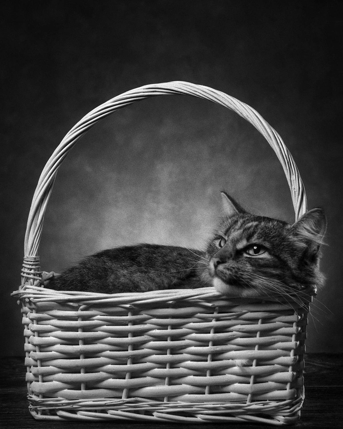 , Сизов Кирилл