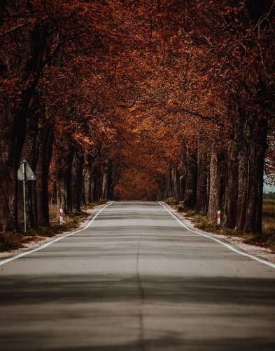 Дорога в Польше