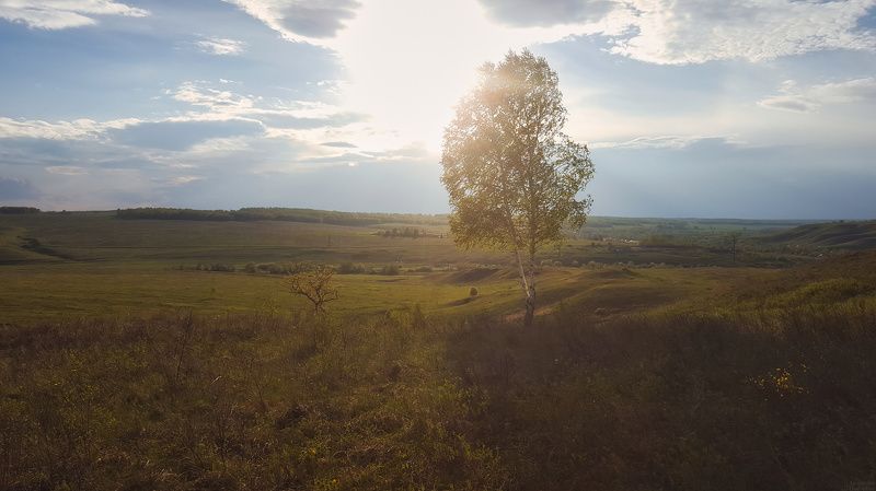 Май в Клявлинском районе фото превью