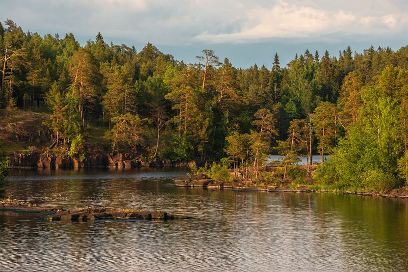 валаам,лето,берег,остров,ладога Валаамские берега фото превью