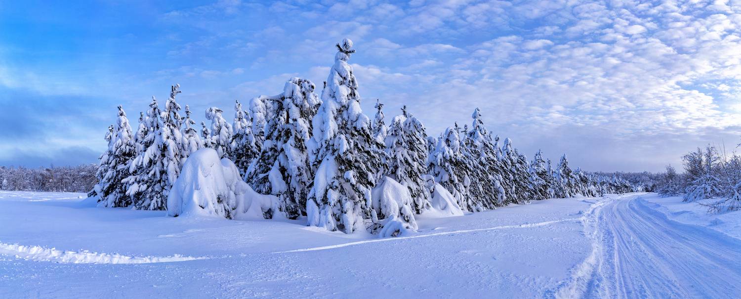 , Подосинников Максим