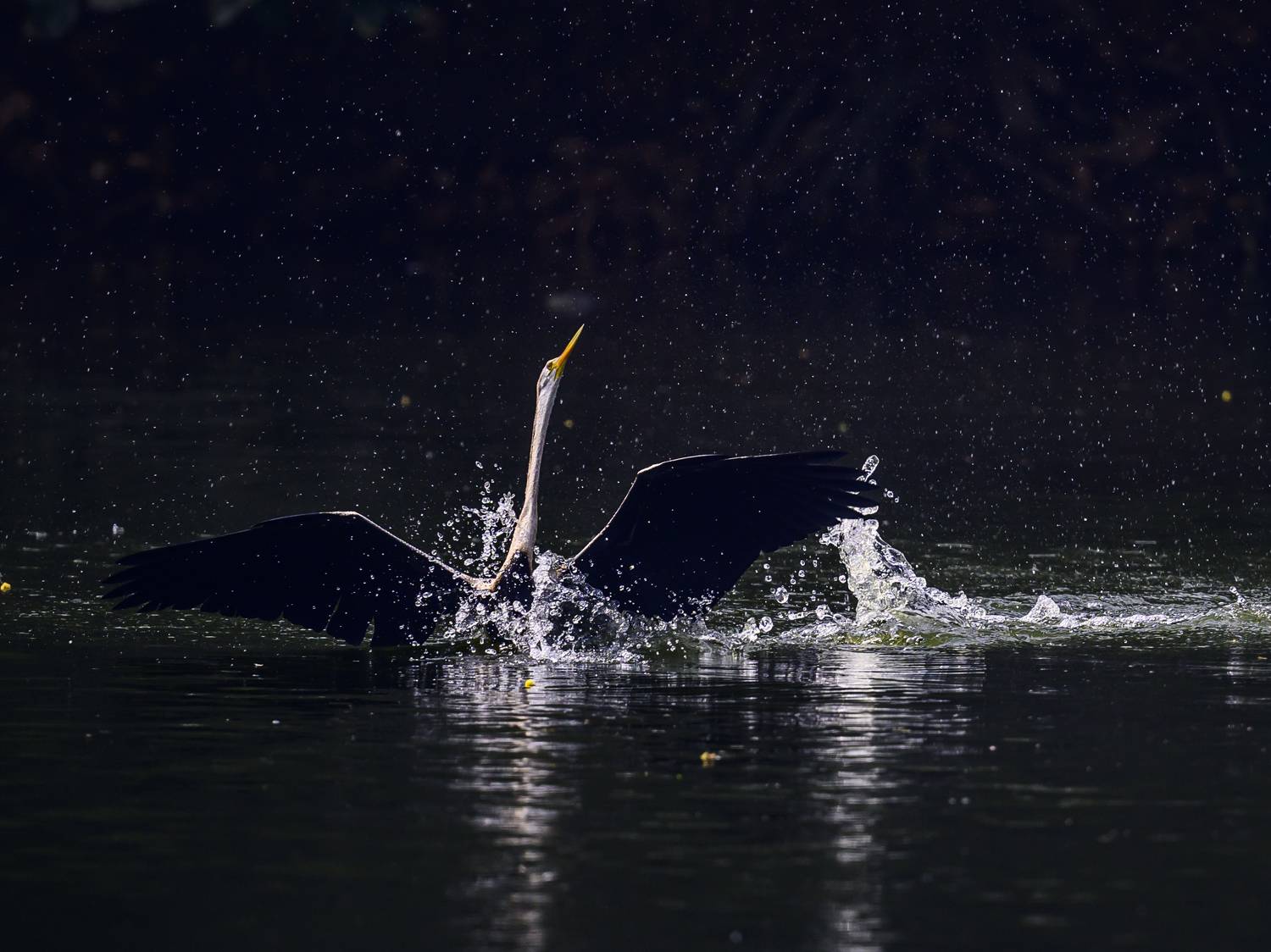 , Пупонин Сергей