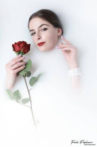 Two milk roses