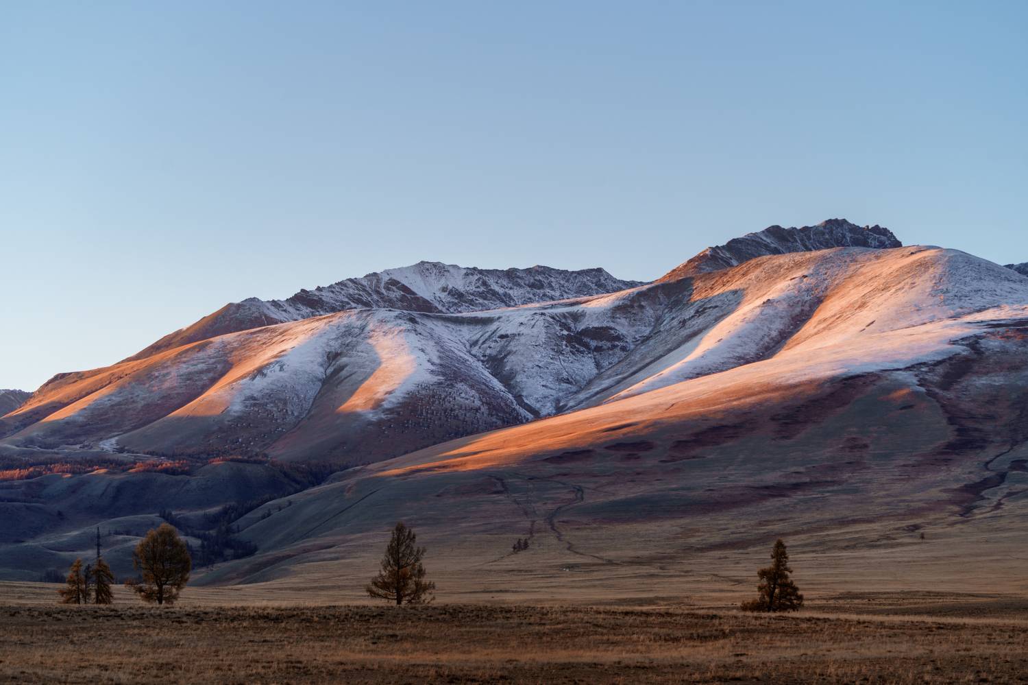 , Лариса Дука