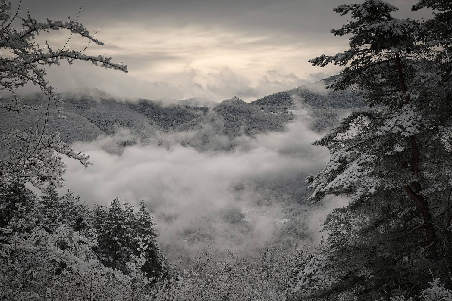 racha, snow, february, amrolauri, overcast, clouds, winter, forest, mountains, landscape, scenery, travel, outdoors, georgia, sakartvelo, chizh, Чиж Андрей