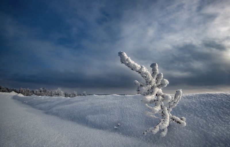 Выстоим и дождёмся лета фото превью