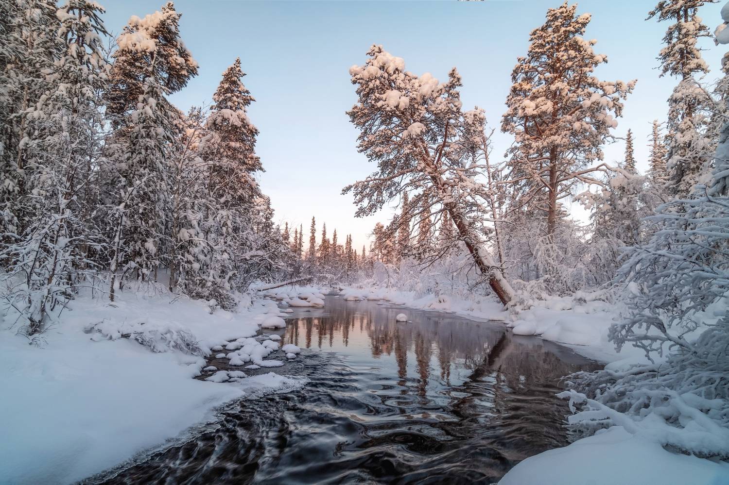 , Tatiana Meshcheryakova