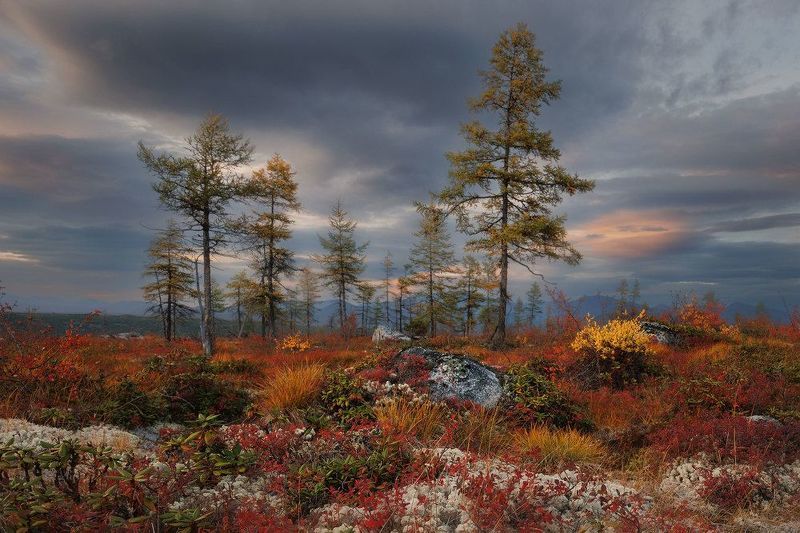 Краски Колымы фото превью