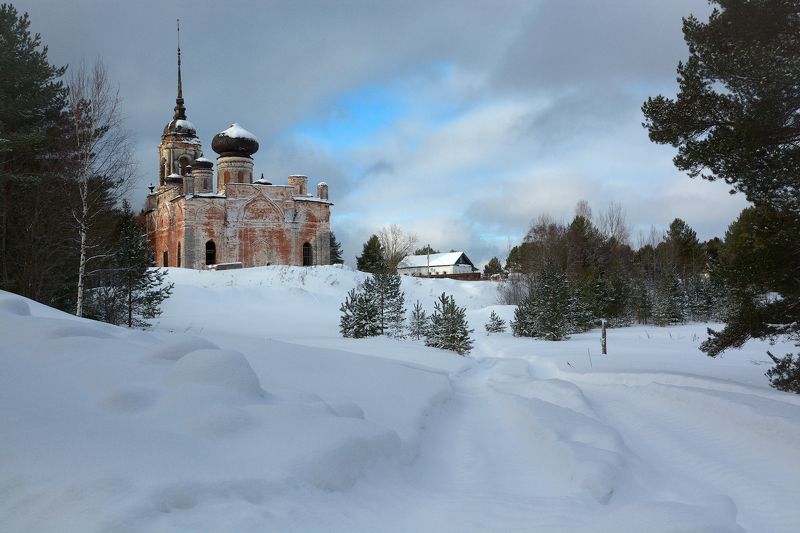И зубры любят красоту! фото превью