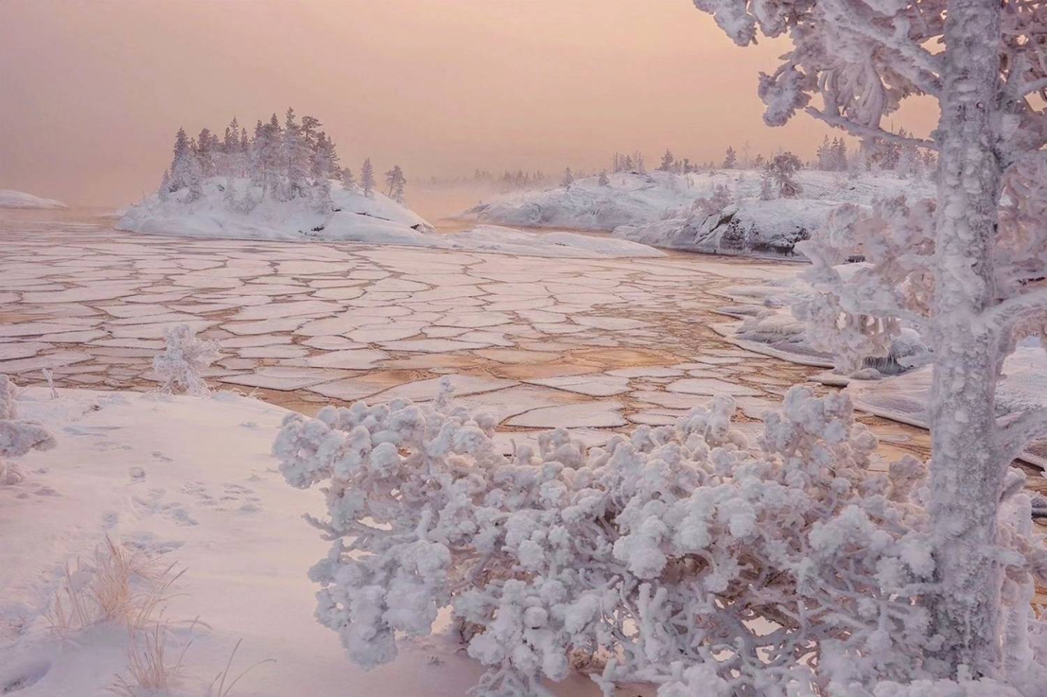 , Петр Косых