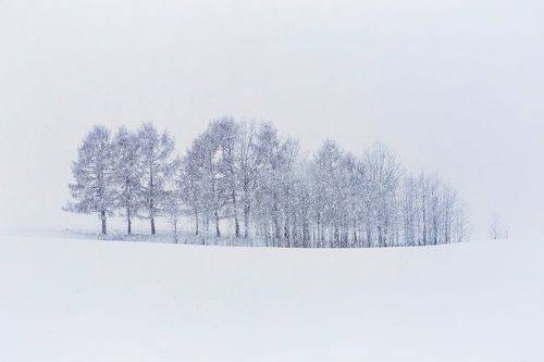Snowfall
