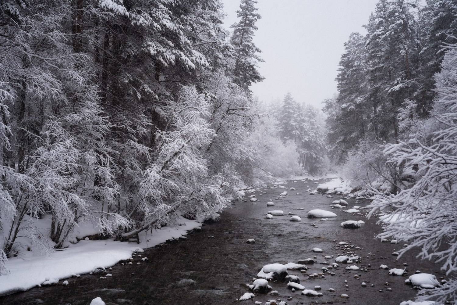 архыз, зима, снегопад, горная река, Чавыкина Анастасия
