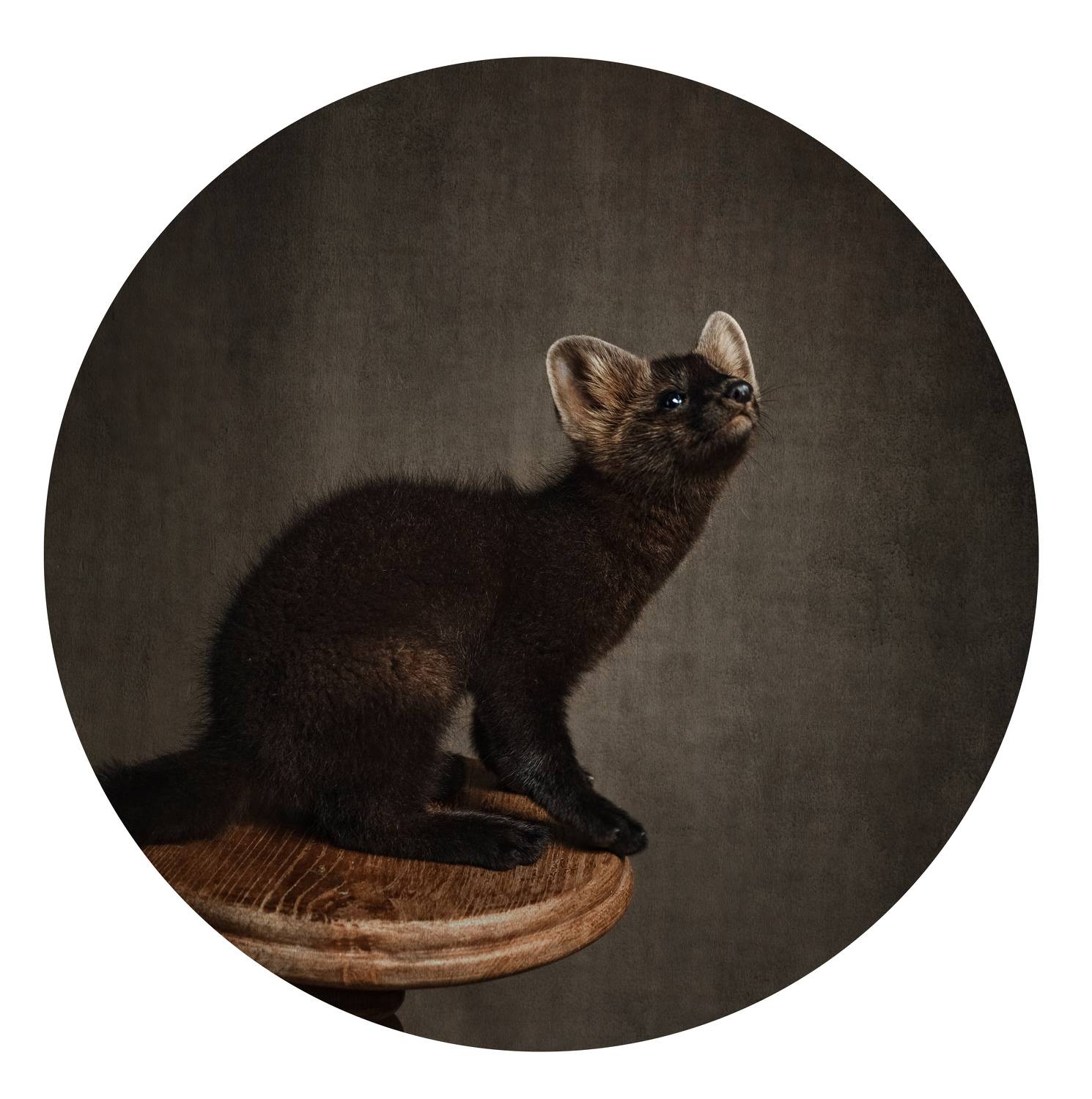 , Ященко Анастасия