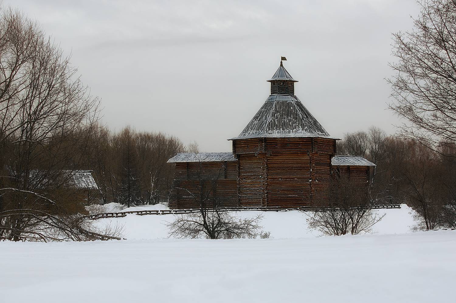 зима, парк коломенское, архитектура, монохром, Vera Trandina