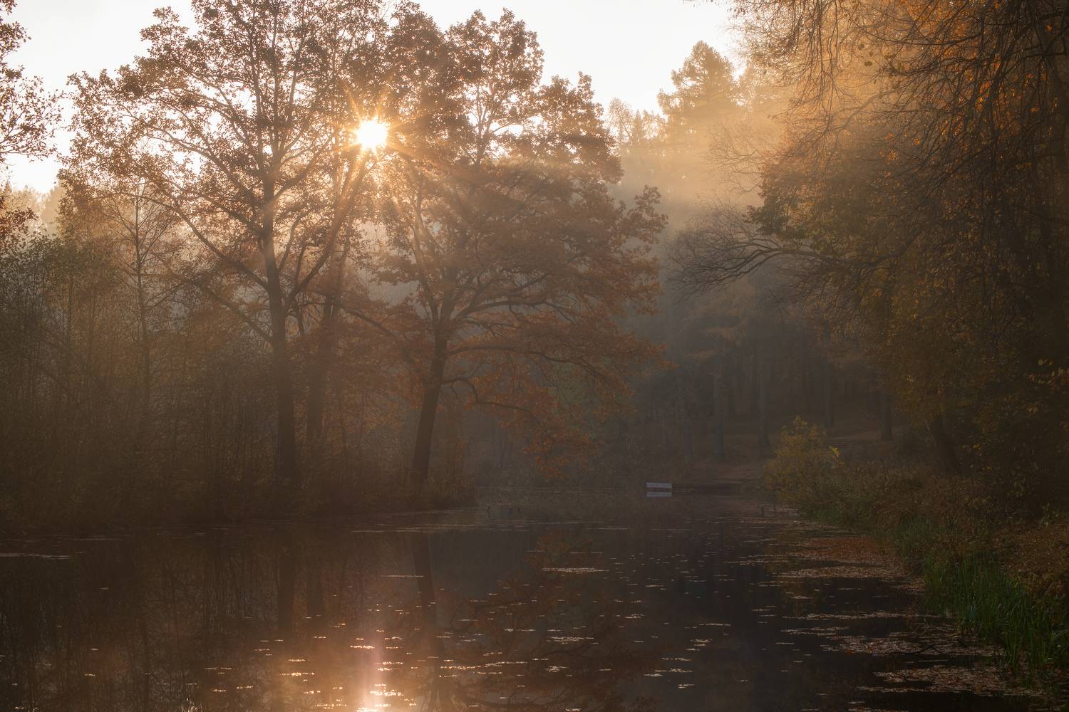 , Романский Владимир (NikonZoom)