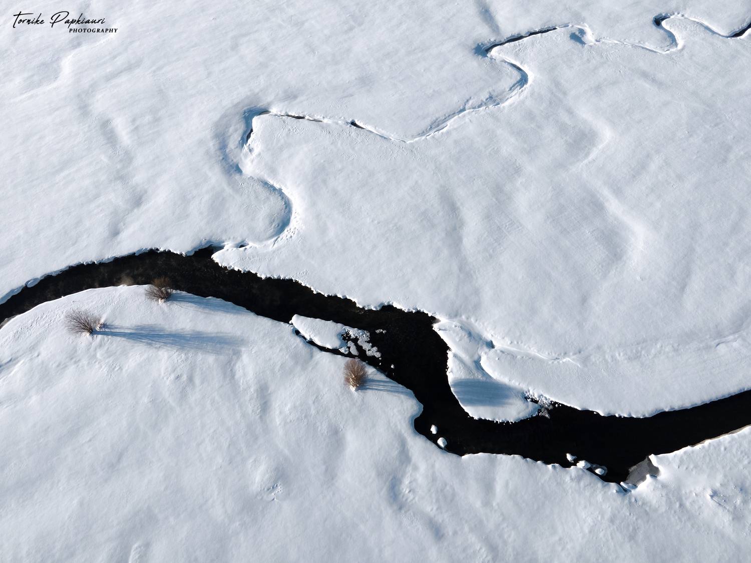 landscape, georgia, tree, winter, PAPKIAURI TORNIKE