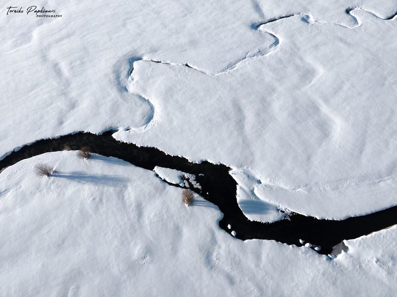 landscape, georgia, tree, winter Winter in Georgia фото превью