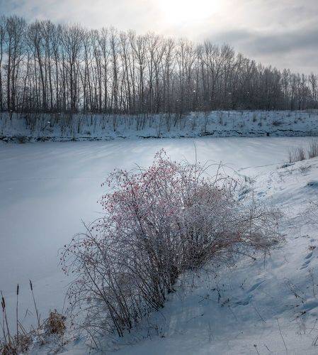 Зимний пруд